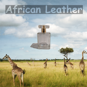 AFRICAN LEATHER