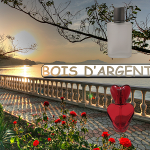 BOIS D'ARGENT